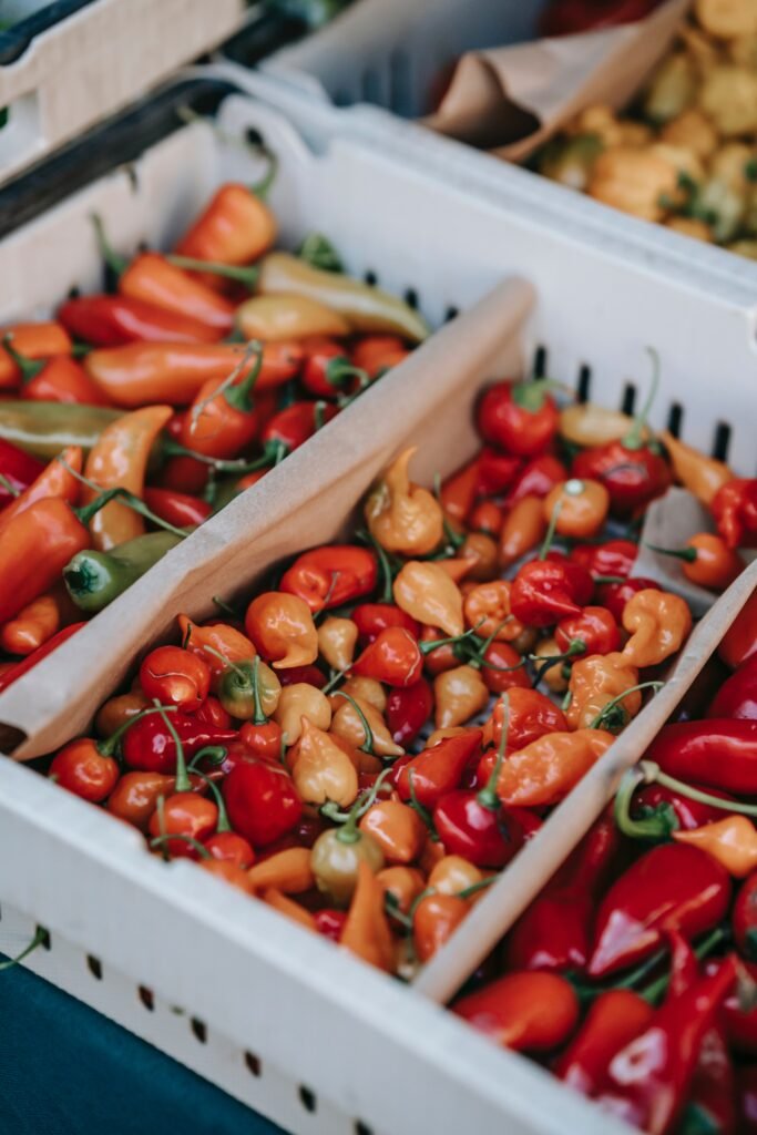 eco shops in kensington